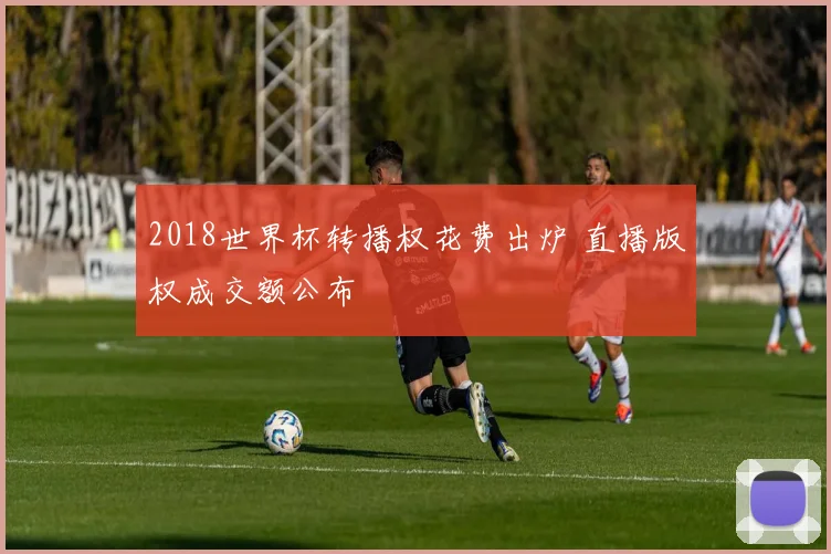 2018世界杯转播权花费出炉 直播版权成交额公布