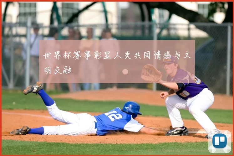 世界杯赛事彰显人类共同情感与文明交融