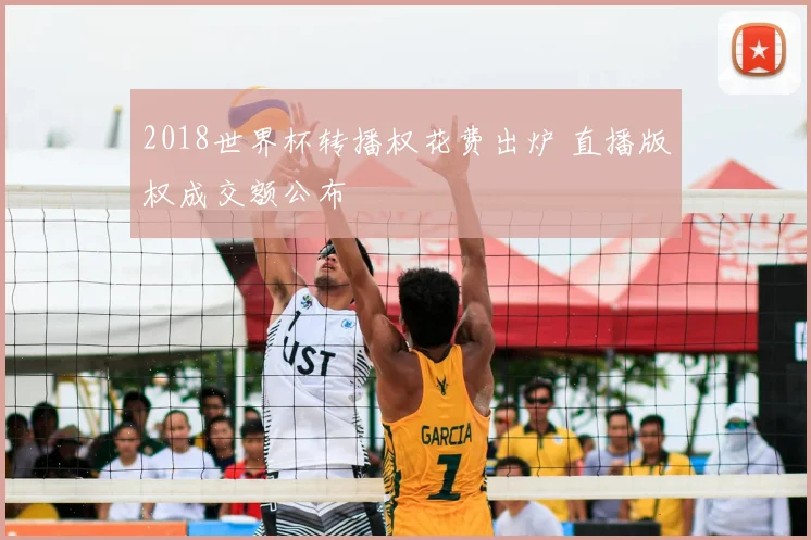2018世界杯转播权花费出炉 直播版权成交额公布