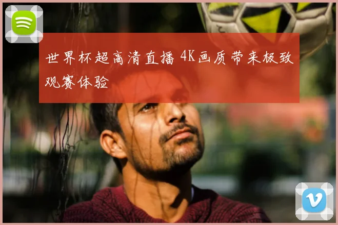 世界杯超高清直播 4K画质带来极致观赛体验
