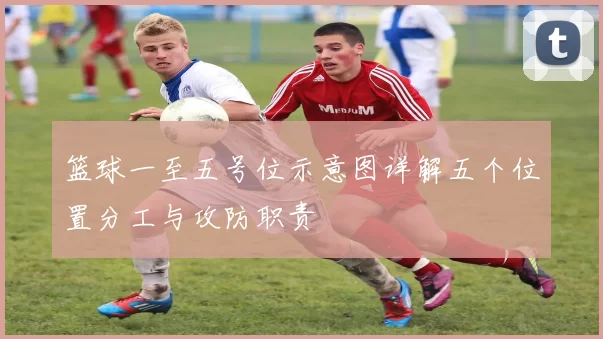 篮球一至五号位示意图详解五个位置分工与攻防职责