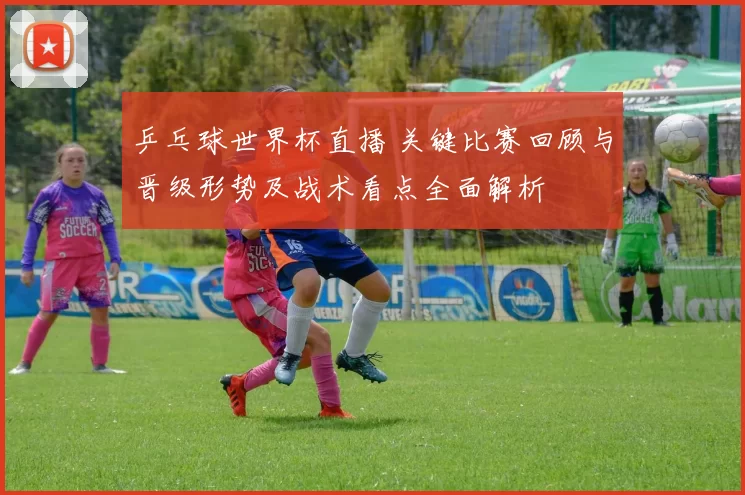 乒乓球世界杯直播 关键比赛回顾与晋级形势及战术看点全面解析