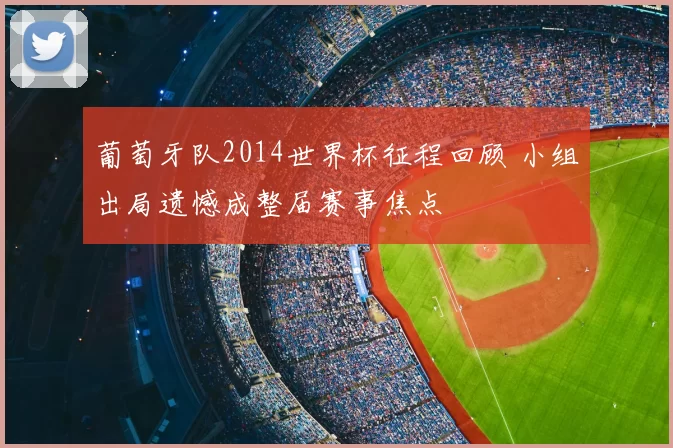 葡萄牙队2014世界杯征程回顾 小组出局遗憾成整届赛事焦点